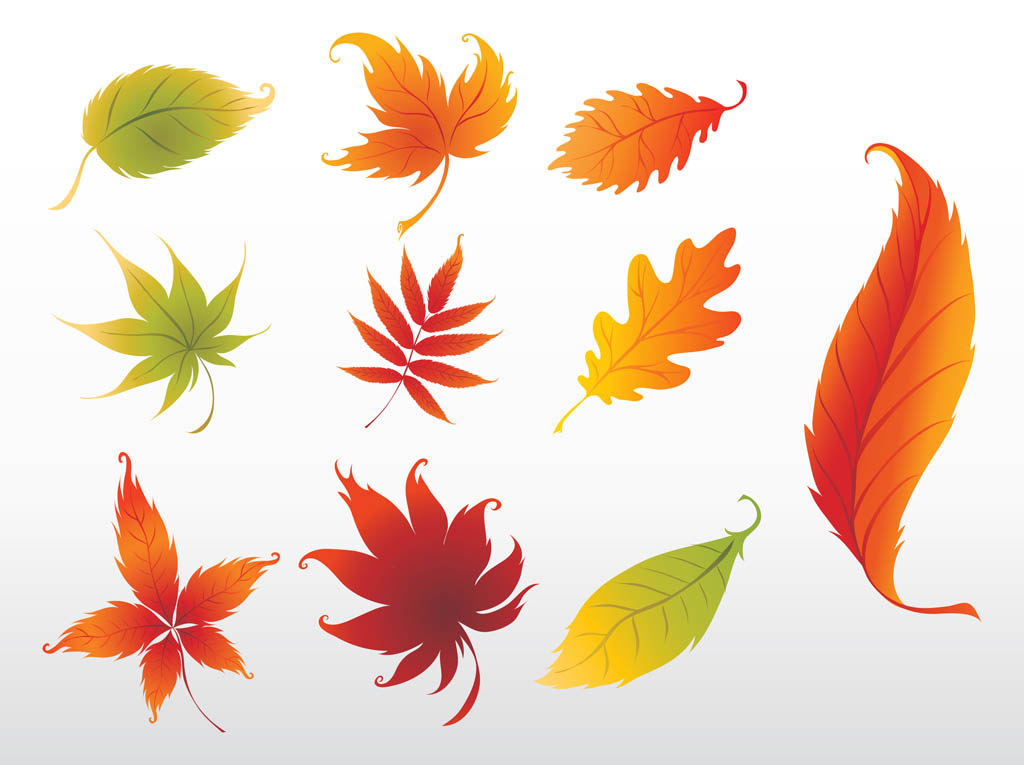 Download Swirling Leaves Graphics Vector Art & Graphics | freevector.com
