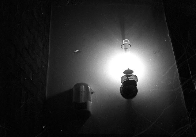 Canon Dail 35 #12-1-37