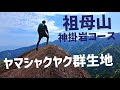 [最も共有された！ √] ヤマ 神 159558-山 神聖
