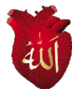 heart of allah