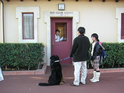ちゃあちゃんママの旅日記 ２００６ １１ ２５ 土 東京ディズニーシーの巻