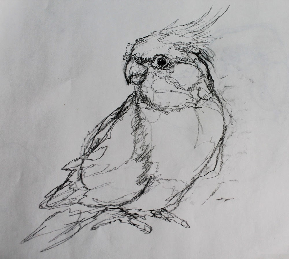 Questa meravigliosa serie di bozzetti contiene diversi tratti di disegno a linea continua catturati grazie alla osservazione di prima mano della realt 