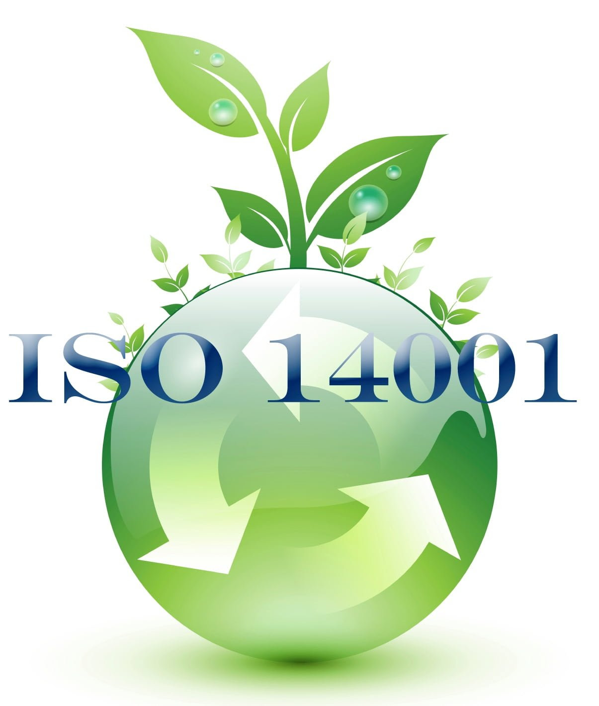 GIUGNO 2015: SARÀ PUBBLICATA LA NUOVA NORMA ISO 14001:2015