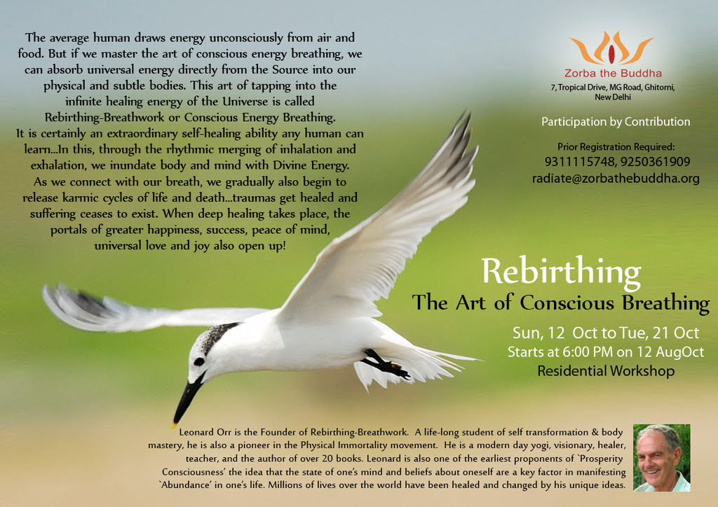 rebirthing copy