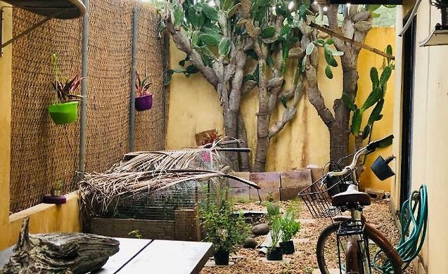 ᐉ Casa Verde Mare Bed Breakfast Tamarindo Costa Rica Real Photos Great Deals