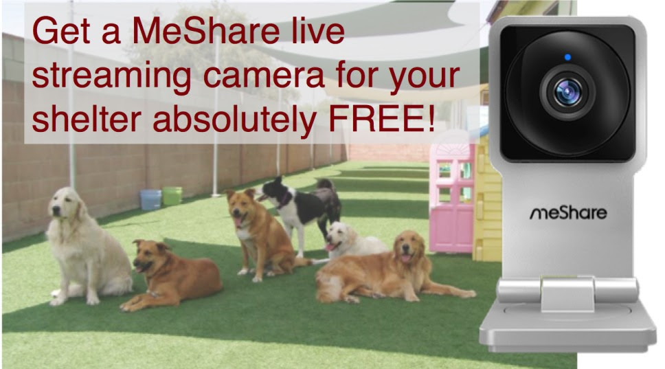 Get a MeShare live streaming camera for your shelter absolutely free
