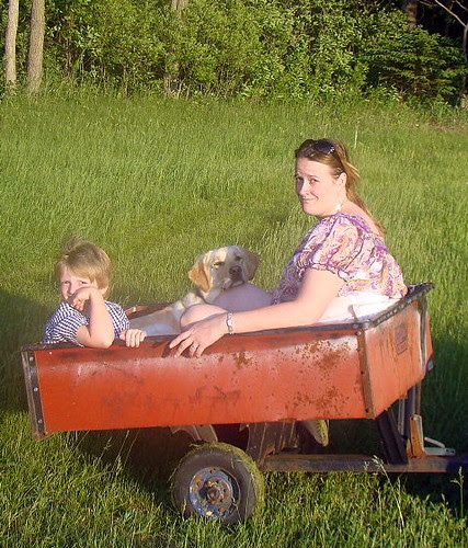 In the Trailer 60509