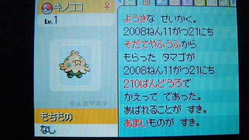 ポケモンプラチナ廃人への道 キノガッサ育成 前編 ブログですね 分かります