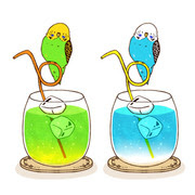 セキセイインコ Pixiv年鑑 B