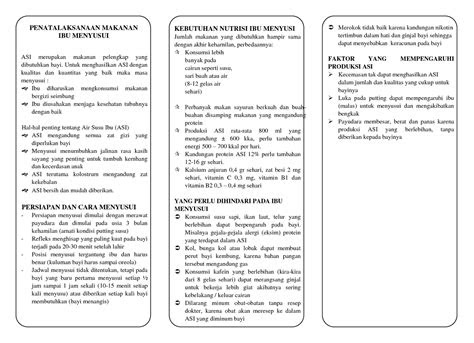 fitra gizi stikes hb leaflet gizi tepat ibu menyusui