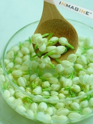 Picture Of A Jasmine Flower