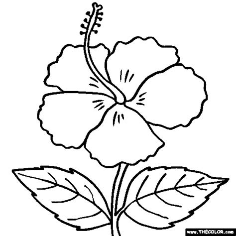  free printable hibiscus flower template printable hibiscus paper