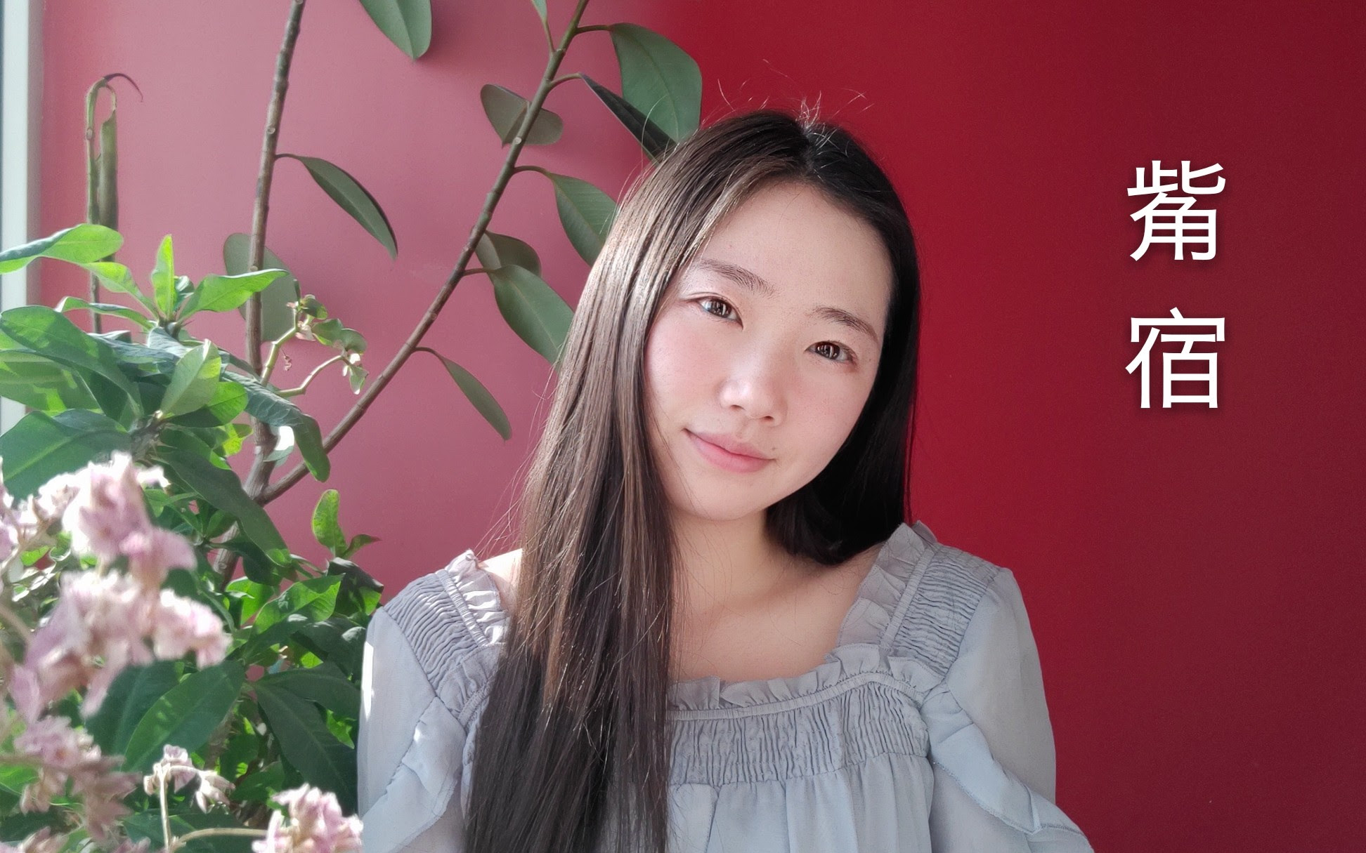 二十七星宿娱乐篇觜宿 哔哩哔哩 つロ干杯 Bilibili