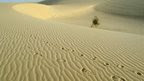 Sahara desert in Mali