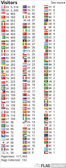 Flag Counter