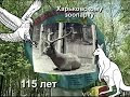 Видео Харьковский зоопарк 115 лет