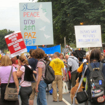 Various Signs Including: Bush's War Refutes Intelligent Design