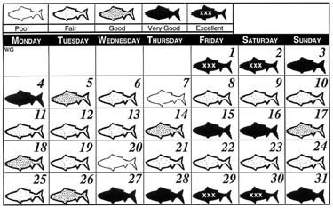 Gulf Coast Fishing Calendar
