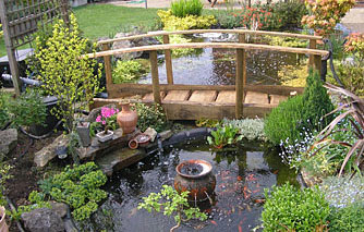 Backyard Bridges