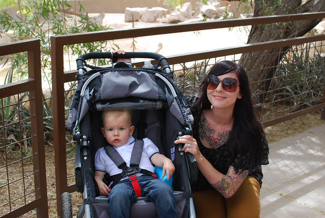 Phoenix Zoo, 2/27/12