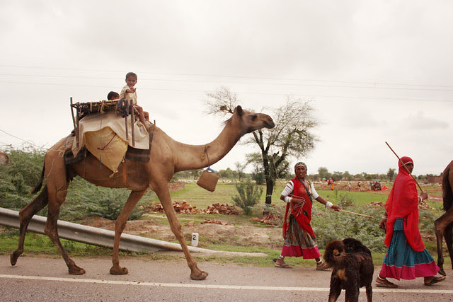 driving from agra to jaipur