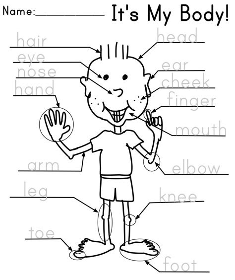  15 best images of esl worksheets preschool kindergarten english