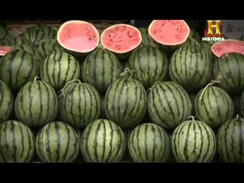 La historia de las matematicas - El genio de oriente 1/4