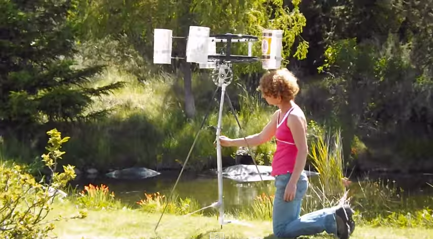 There are 3 different windmill water pumps here. One is from an 