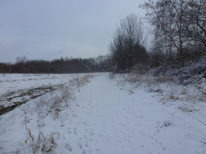 L1030422