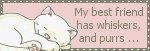  photo catbl215_zpscnoayk4q.gif