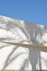 museu d'es baluard