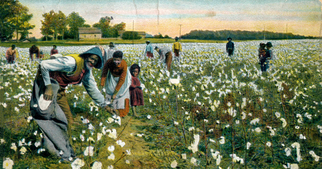 Empire Of Cotton By Sven Beckert The New York Times