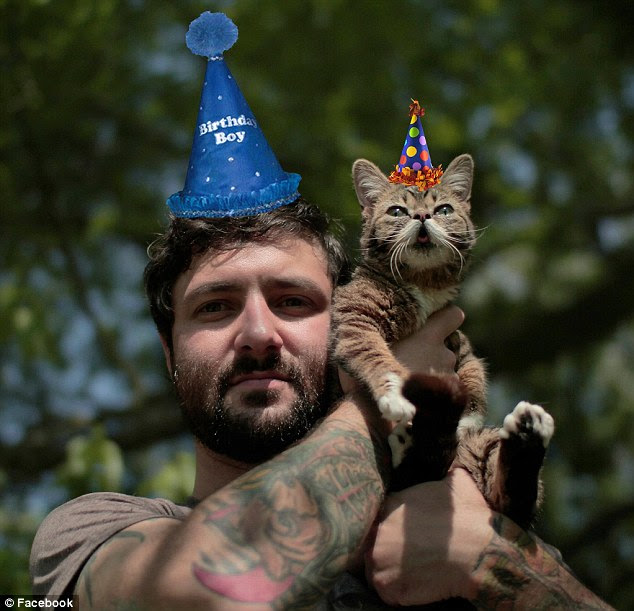 Loved: But her owner, who describes her as a 'happy accident', is keen to declare that she was not bred to be a 'perma-kitten'