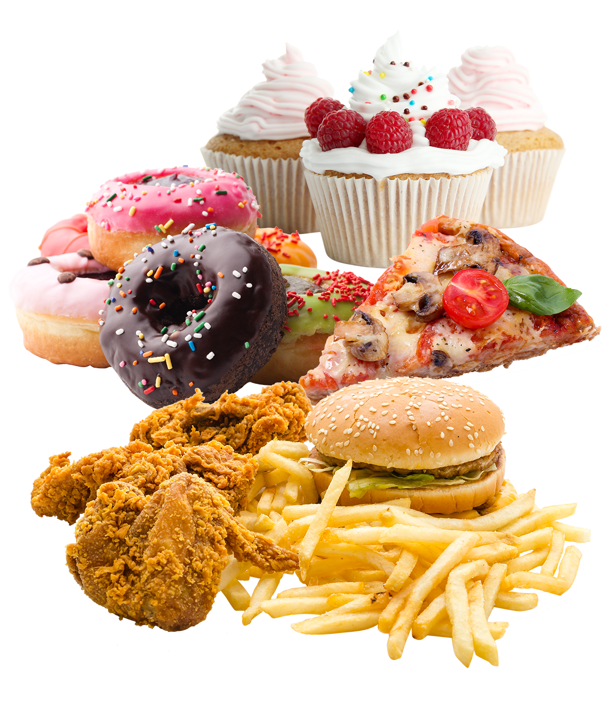 The Body Ecology Diet with the BE101 Home Study Course The Body Ecology Diet with the BE101 Home Study Course