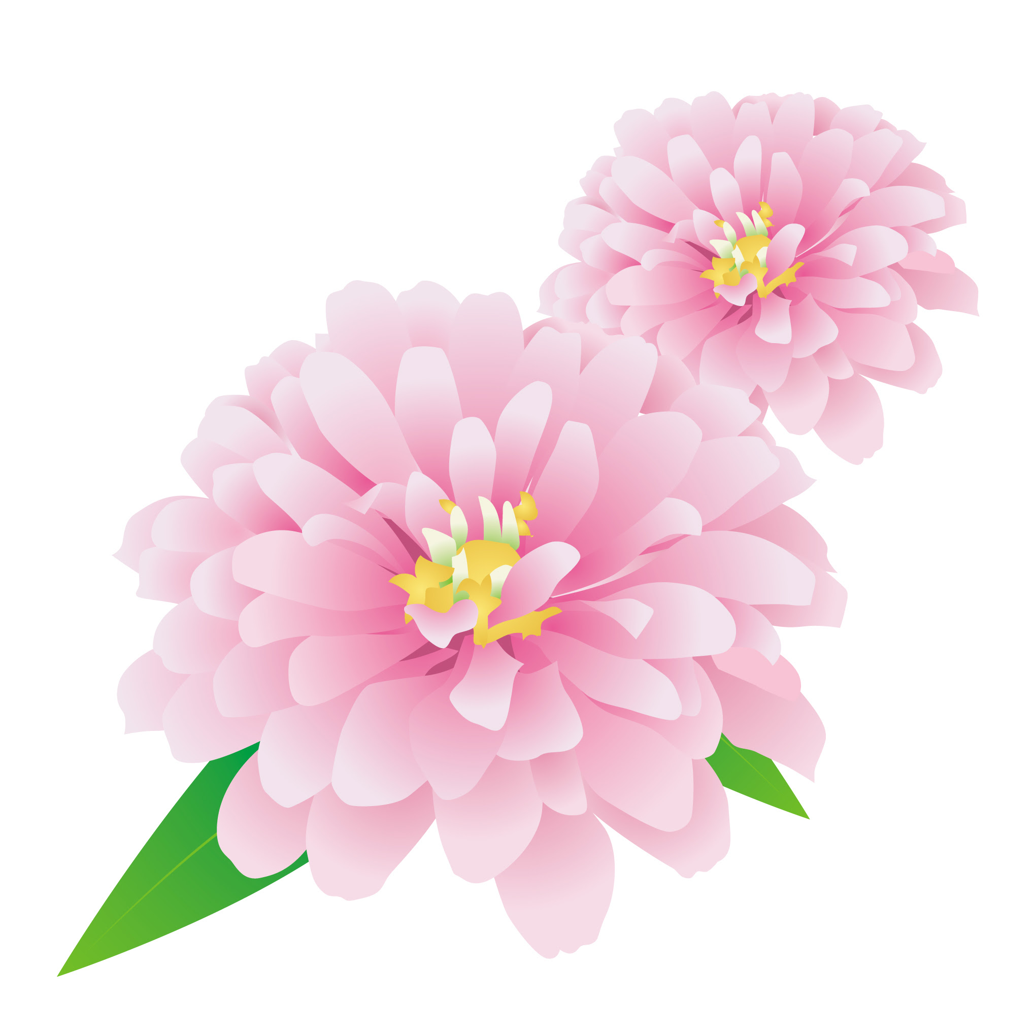 花のイラスト 無料 8月