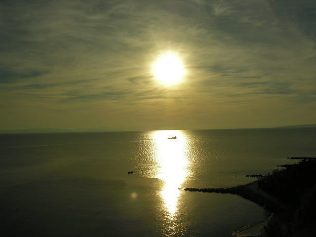 DSCN7712