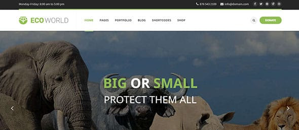 Soft-Web-Media-Themes-Eco-World