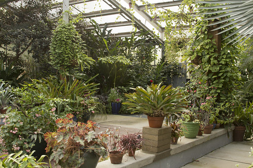 Tropical Pavilion by bahayla
