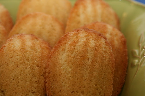 Traditional Madelines from Dorie Greenspan