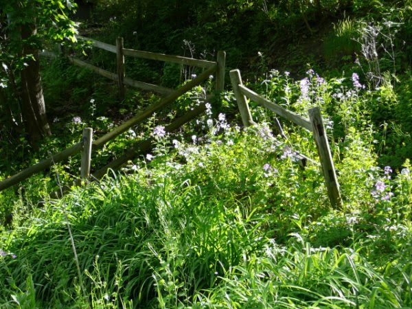 quotes on writing. by Kerri Maniscalco in Quotes