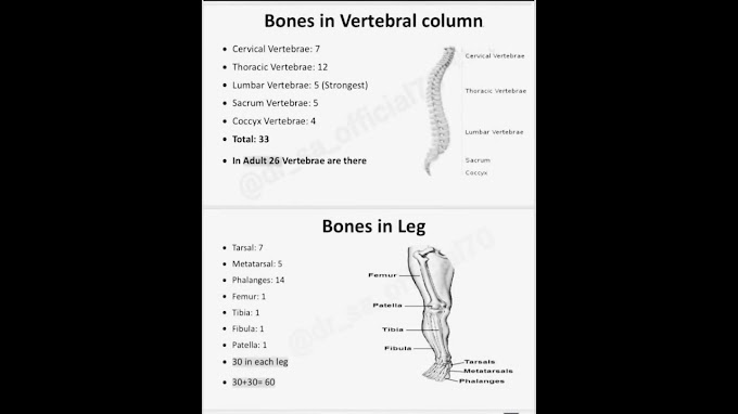 NEET 2026 Biology. 📝Locomotion and movement short notes #motivation #education #neetpreparation