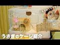 無料ダウンロード うさぎ ケージ おしゃれ 291255-うさぎ ケージ おしゃれ おすすめ