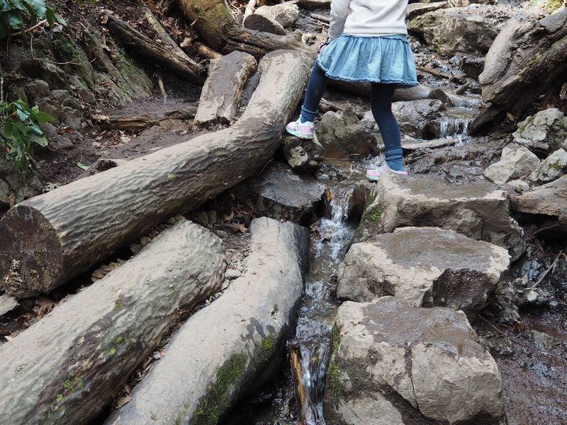 子供の登山デビューにも 高尾山自然研究路6号路の魅力 東京都 トラベルjp 旅行ガイド