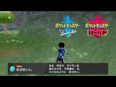 ポケモン めざめいし