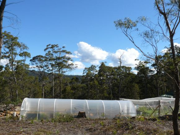 Building our poly tunnel greenhouse . . .   Banksia Hollow  greenhouse plastic adelaide