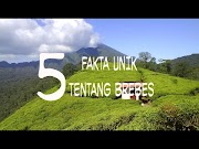 Simak 5 Fakta Unik Tentang Brebes, paling heboh!