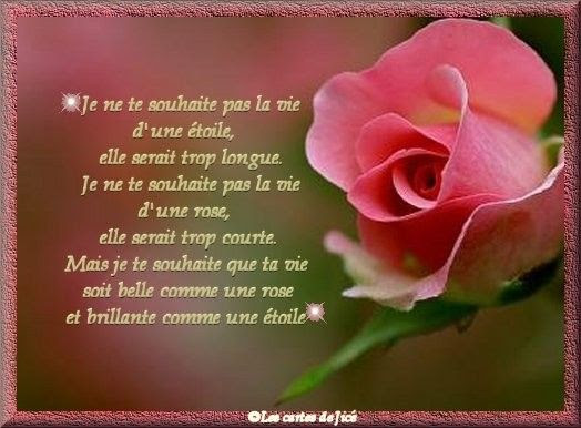 241 Janvier 11 Les Fleurs Embellissent La Vie