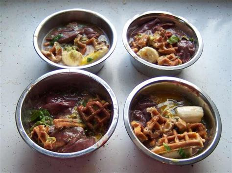 ultimate guide  creating  raw dog food recipe part