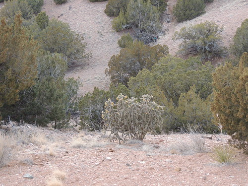 Edge of Arroyo