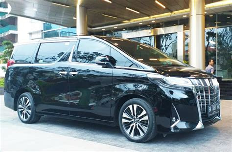 sewa alphard